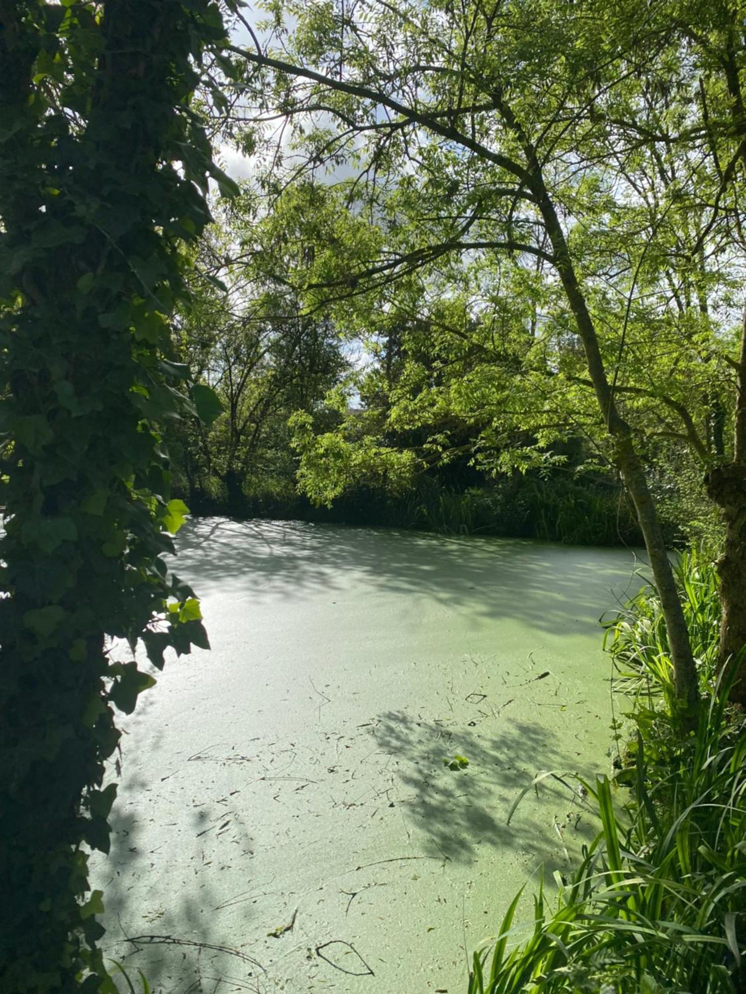 Maison De La Mare Aux Rainettes Location Vacances Standing Au Coeur Du Marais Poitevin - 3 Chambres - 6 Personnes La Celle-sous-Gouzon Kültér fotó
